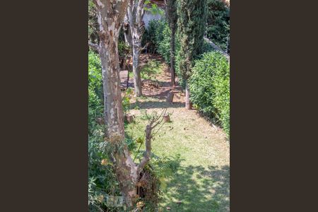 Salão de casa para alugar com 6 quartos, 200m² em Vila Morse, São Paulo