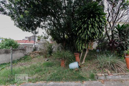 Casa à venda com 421m², 3 quartos e 8 vagas Casa à venda com 421m², 3 quartos e 8 vagasQuintal