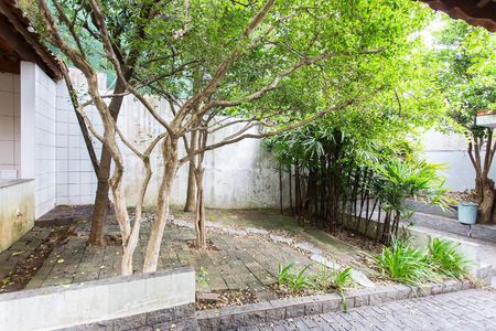 Casa à venda com 750m², 4 quartos e 8 vagasÁrea Externa dos Fundos