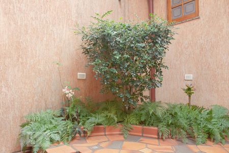 Casa à venda com 225m², 3 quartos e 3 vagas Casa à venda com 225m², 3 quartos e 3 vagasJardim