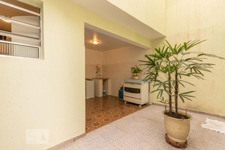Casa para alugar com 240m², 3 quartos e 3 vagas Casa para alugar com 240m², 3 quartos e 3 vagasQuintal