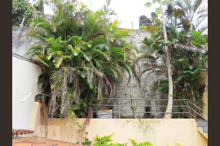 Casa à venda com 300m², 3 quartos e 4 vagasJardim