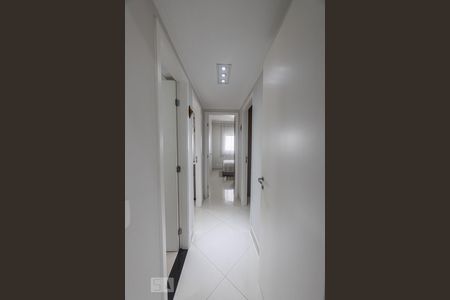 Corredor de apartamento para alugar com 3 quartos, 104m² em Jardim Avelino, São Paulo