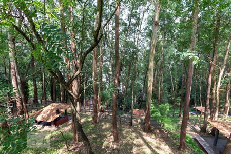 Apartamento para alugar com 68m², 2 quartos e 2 vagas Apartamento para alugar com 68m², 2 quartos e 2 vagasBosque