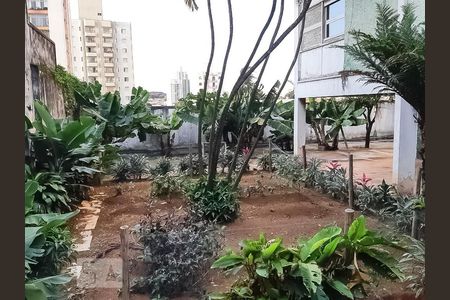 Casa à venda com 726m², 3 quartos e 2 vagas