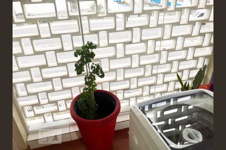 Área de Serviço de apartamento para alugar com 1 quarto, 62m² em Bela Vista, São Paulo