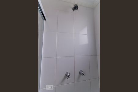 Banheiro da Suíte de apartamento para alugar com 2 quartos, 54m² em Vila Miriam, Guarulhos