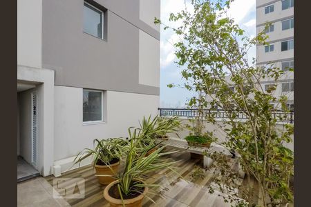 Apartamento para alugar com 34m², 2 quartos e sem vagaÁrea comum - Rooftop
