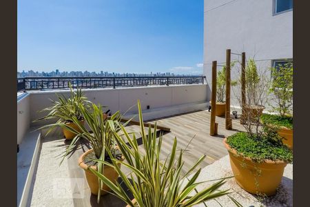 Apartamento para alugar com 34m², 2 quartos e sem vagaÁrea comum - Rooftop