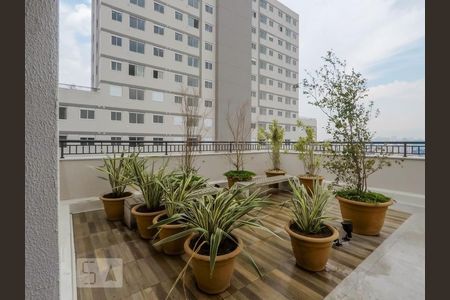 Apartamento para alugar com 34m², 2 quartos e sem vagaÁrea comum - Rooftop
