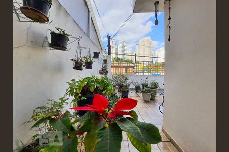 Casa à venda com 167m², 4 quartos e 3 vagas Casa à venda com 167m², 4 quartos e 3 vagasQuintal