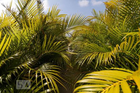 Apartamento à venda com 420m², 5 quartos e 3 vagasJardim