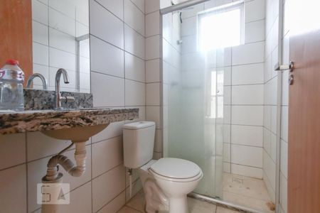 Banheiro de apartamento para alugar com 2 quartos, 46m² em Bandeirantes (pampulha), Belo Horizonte