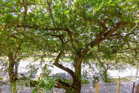 Apartamento à venda com 70m², 2 quartos e 1 vagaVista da Sacada