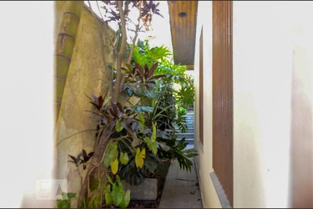 Casa à venda com 250m², 3 quartos e 4 vagas Casa à venda com 250m², 3 quartos e 4 vagasQuintal