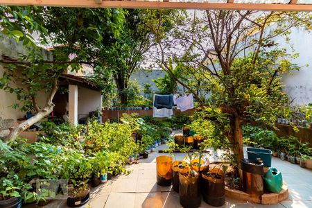 Casa à venda com 500m², 5 quartos e 3 vagasQuintal