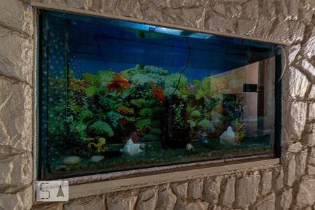 Apartamento à venda com 46m², 1 quarto e sem vaga Apartamento à venda com 46m², 1 quarto e sem vagaAquário