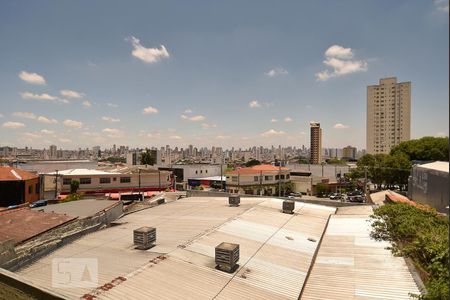 Studio para alugar com 32m², 1 quarto e sem vagaVista dos fundos da area externa