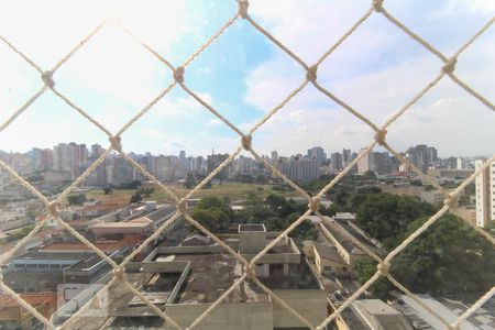 Vista da Varanda da Sala de apartamento para alugar com 2 quartos, 54m² em Cambuci, São Paulo