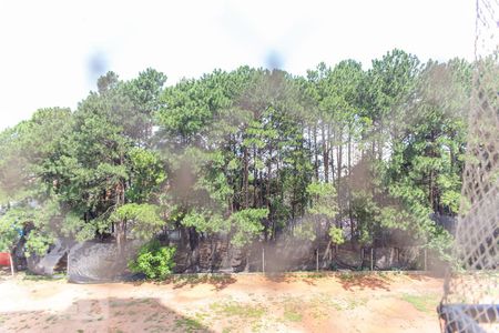 Apartamento à venda com 60m², 2 quartos e 1 vagaVista da Área de Serviço