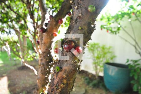 Apartamento para alugar com 250m², 3 quartos e 3 vagasJardim