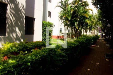 Apartamento à venda com 49m², 2 quartos e 1 vaga Apartamento à venda com 49m², 2 quartos e 1 vagaÁrea comum