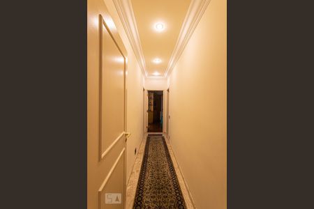 Apartamento para alugar com 496m², 5 quartos e 5 vagas Apartamento para alugar com 496m², 5 quartos e 5 vagasCorredor