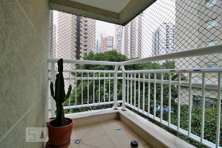 Apartamento à venda com 248m², 4 quartos e 4 vagasSacada Suíte 2