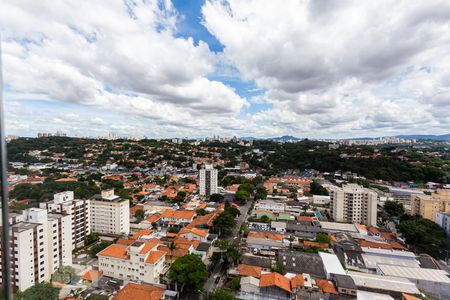 Vista de apartamento para alugar com 1 quarto, 66m² em Caxingui, São Paulo