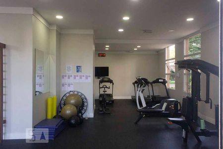 Apartamento à venda com 242m², 3 quartos e 4 vagas Apartamento à venda com 242m², 3 quartos e 4 vagasÁrea comum - Academia