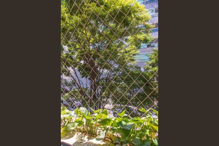 Apartamento à venda com 110m², 3 quartos e 3 vagas Apartamento à venda com 110m², 3 quartos e 3 vagasVista do quarto 1