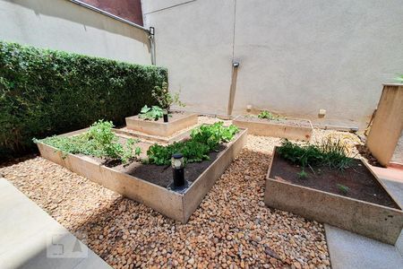 Apartamento à venda com 41m², 1 quarto e 1 vagaÁrea comum - Horta 