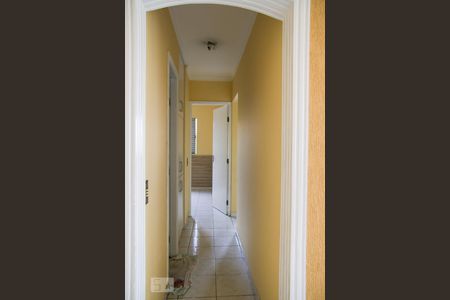 Corredor de apartamento para alugar com 3 quartos, 68m² em Parque Marajoara, Santo André