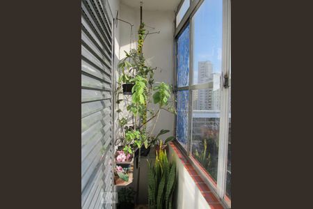 Apartamento à venda com 91m², 3 quartos e sem vaga Apartamento à venda com 91m², 3 quartos e sem vagaVaranda do Quarto 2