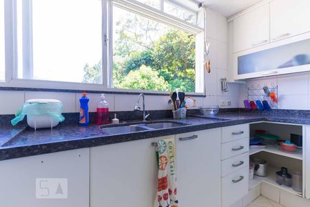 Casa à venda com 600m², 7 quartos e 6 vagasCozinha - Armários