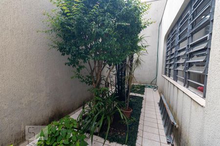 Casa à venda com 354m², 4 quartos e 6 vagasÁrea Externa