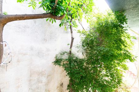 Casa à venda com 205m², 4 quartos e 2 vagas Casa à venda com 205m², 4 quartos e 2 vagasVista do Quarto 3