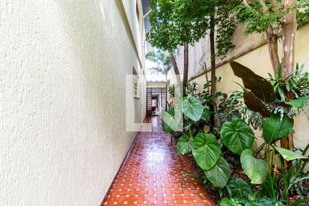 Casa à venda com 205m², 4 quartos e 2 vagas Casa à venda com 205m², 4 quartos e 2 vagasQuintal