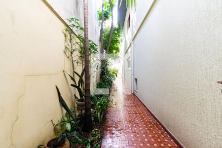 Casa à venda com 205m², 4 quartos e 2 vagas Casa à venda com 205m², 4 quartos e 2 vagasQuintal