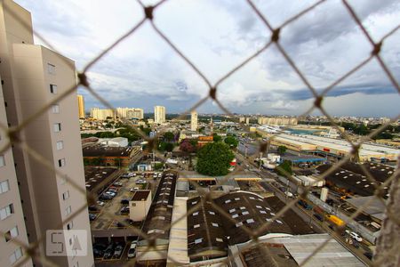 Apartamento para alugar com 70m², 3 quartos e 1 vagaVista do Quarto 1