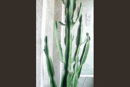 Apartamento à venda com 49m², 2 quartos e 1 vagaVaranda