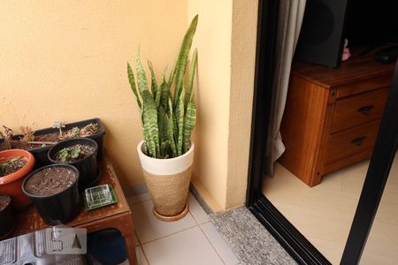 Varanda da Sala de apartamento para alugar com 2 quartos, 60m² em Vila Moinho Velho, São Paulo