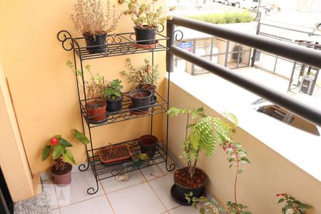 Varanda da Sala de apartamento para alugar com 2 quartos, 60m² em Vila Moinho Velho, São Paulo