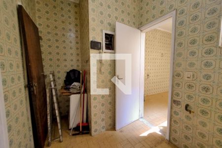 Apartamento à venda com 80m², 3 quartos e sem vaga Apartamento à venda com 80m², 3 quartos e sem vagaCozinha