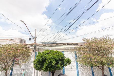 Casa à venda com 250m², 3 quartos e 2 vagasVista