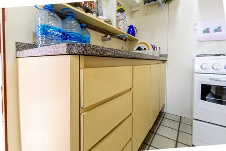 Apartamento para alugar com 50m², 2 quartos e 1 vagaCozinha - Armários