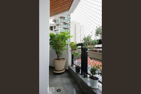 Apartamento à venda com 227m², 4 quartos e 4 vagas Apartamento à venda com 227m², 4 quartos e 4 vagasVaranda suíte 1