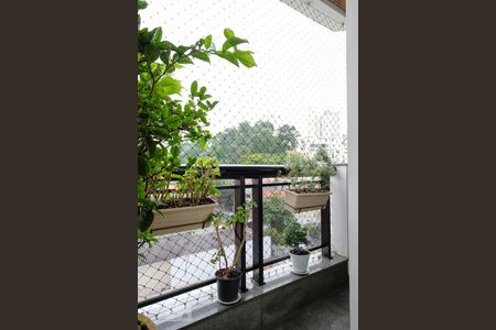 Apartamento à venda com 227m², 4 quartos e 4 vagas Apartamento à venda com 227m², 4 quartos e 4 vagasVaranda suíte 1