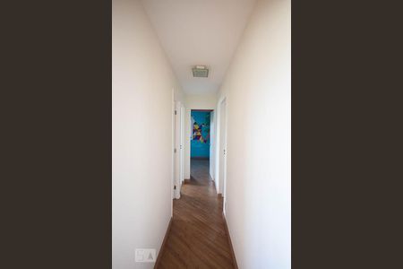 Corredor de apartamento para alugar com 3 quartos, 90m² em Vila Progredior, São Paulo