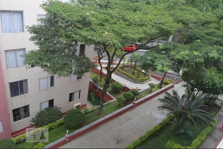 Apartamento à venda com 74m², 3 quartos e 1 vagaVista da janela da Sala